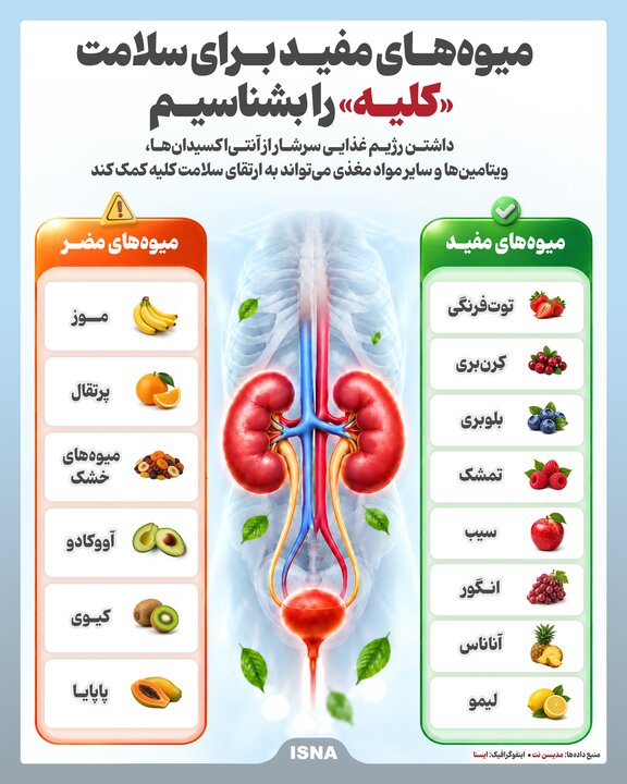 داشتن رژیم غذایی سرشار از آنتی‌اکسیدان‌ها، ویتامین‌ها و سایر مواد مغذی می‌تواند به ارتقای سلامت کلیه کمک کند.