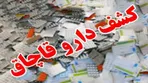 کشف محموله چند ده میلیارد تومانی دارو در جنوب تهران
