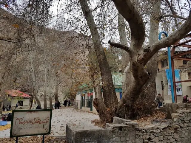 امامزاده قاسم امامزاده قاسم