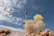 شکست آزمایش موشکی تایوان: به جای دریا خورد به کوه!