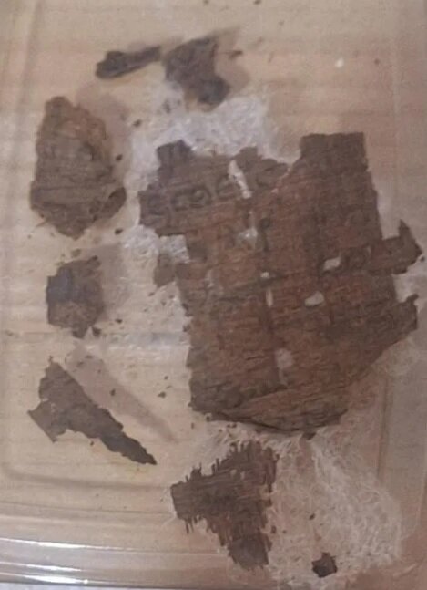 این مومیایی، که به زمانی بازمیگردد که رومیها مصر را کنترل میکردند، در یک آرامگاه درون یک گورستان در شهر امروزی «البهنسا» در مصر، که در دوران باستان به نام «Oxyrhynchus» شناخته میشد، کشف شده است. این مومیایی، که به زمانی بازمیگردد که رومیها مصر را کنترل میکردند، در یک آرامگاه درون یک گورستان در شهر امروزی «البهنسا» در مصر، که در دوران باستان به نام «Oxyrhynchus» شناخته میشد، کشف شده است.