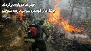 خیلی‌ها دوباره دیر کردند؛ جنگل‌های کوهمره سرخی باز هم سوخت / اشتباهاتی که تکرار، تکرار و تکرار می‌شوند