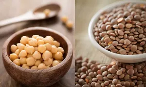 عدس یا نخود؟ کدام یک پروتئین و فیبر بیشتری دارد؟