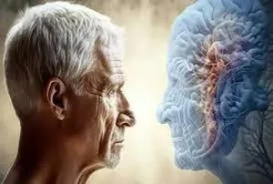 اثرات پنهان آلودگی هوا بر «پیری زودرس مغز»