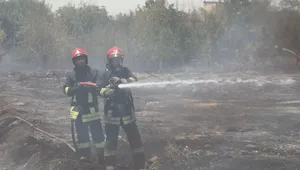 آتش‌سوزی گسترده در بلوار توس مشهد؛ ۱۰۰ درخت خاکستر شد