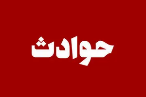 زنان و دختران را بیهوش می کردم، از آنها عکس و فیلم سیاه می گرفتم و پول و طلای شان را می دزدیدم